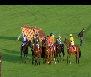 Video preview image for Punchestown 17:20 - Punchestown Winter Festival I.N.H. Flat