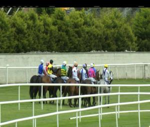 Video preview image for Roscommon 14:35 - Peggy Guerin Memorial Mares Maiden Hurdle