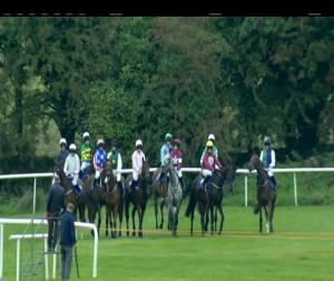 Video preview image for Roscommon 17:20 - Sky Sports Racing Launching In 2019 Beginners Chase