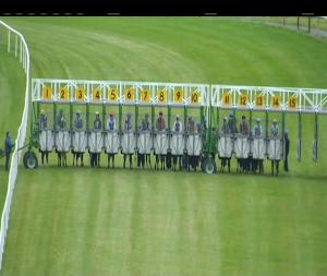 Video preview image for Thurles 14:05 - Thurles Fillies Maiden