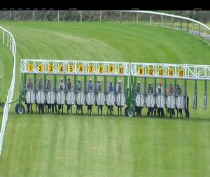 Video preview image for Thurles 15:15 - Racing Again November 8th Maiden