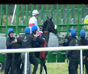 Video preview image for Thurles 16:20 - Moyne Handicap (Div 2)