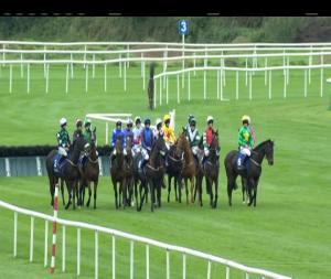 Video preview image for Tipperary 14:40 - Follow Tipperary Races On Facebook Mares Maiden Hurdle