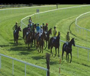 Video preview image for Wexford 12:20 - Casey Concrete Blocks Maiden Hurdle 