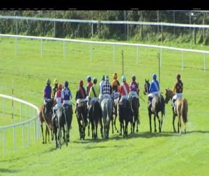 Video preview image for Wexford 12:20 - Nick O'Donnell Memorial Maiden Hurdle 