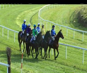 Video preview image for Wexford 12:50 - Casey Tarmacadam Mares Hurdle
