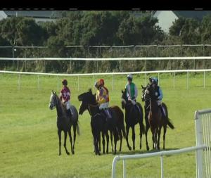 Video preview image for Wexford 12:50 - Iris First For Racing Rated Novice Hurdle 