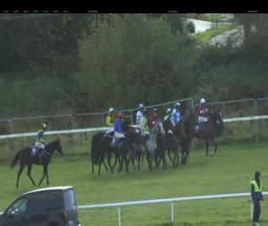 Video preview image for Wexford 13:25 - Casey Cattle Slats Maiden Hurdle