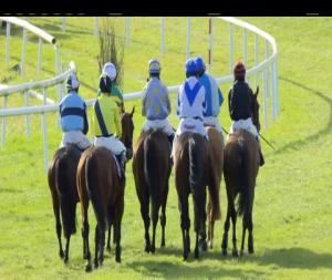Video preview image for Wexford 13:25 - Kehoe Farming Opportunity Handicap Hurdle