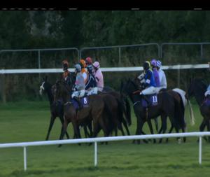 Video preview image for Wexford 14:00 - Casey Enterprises Handicap Hurdle