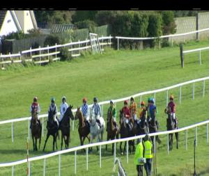 Video preview image for Wexford 14:00 - Volkswagen Commercial Vehicles Maiden Hurdle