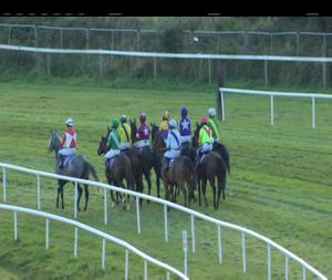 Video preview image for Wexford 16:20 - Jim Whitty (C & G) (Pro/Am) I.N.H Flat