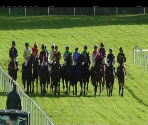 Video preview image for Ballinrobe 17:40 - Broderick's Electrical Handicap Hurdle
