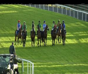 Video preview image for Ballinrobe 18:40 - Adare Manor Opportunity Handicap Chase