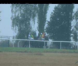 Video preview image for Clonmel 15:50 - Mylerstown Maiden Hurdle 