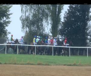 Video preview image for Clonmel 16:25 - Giantsgrave Handicap Hurdle 