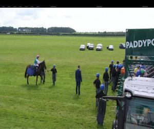 Video preview image for Curragh 14:50 - Snow Fairy Fillies Stakes (Group 3)