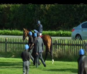 Video preview image for Curragh 16:50 - Comer Group International Irish St Leger (Group 1)