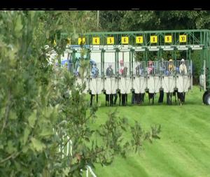 Video preview image for Down Royal 16:15 - Irish Stallion Farms European Breeders Fund Fillies Maiden