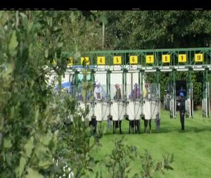 Video preview image for Down Royal 16:50 - Irish European Breeders Fund Supporting Irish Champions Weekend Maiden