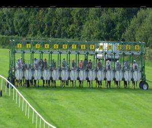 Video preview image for Down Royal 17:20 - Foran Equine Irish European Breeders Fund Auction Maiden