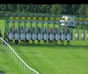 Video preview image for Down Royal 17:50 - Jc Halliday & Sons Nursery Handicap