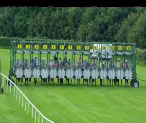 Video preview image for Down Royal 18:20 - Weatherbys General Stud Book Handicap