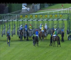 Video preview image for Down Royal 18:50 - West Coast Cooler Original Handicap