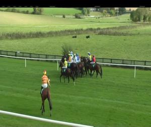 Video preview image for Downpatrick 15:05 - Molson Coors Maiden Hurdle 