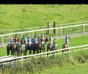 Video preview image for Downpatrick 16:15 - Irish Stallion Farms European Breeders Fund Beginners Chase 