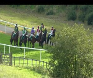 Video preview image for Downpatrick 16:50 - Frank Fitzsimons Memorial Handicap Chase