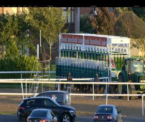 Video preview image for Dundalk 19:00 - Christmas Party Nights At Dundalk Stadium Handicap (Div 2)