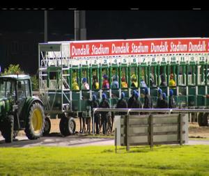 Video preview image for Dundalk 20:00 - Crowne Plaza Race & Stay Apprentice Handicap