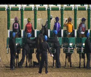 Video preview image for Dundalk 20:30 - Crowne Plaza Leading Jockey and Trainer Championship 2018 Handicap (Div 1)