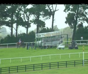 Video preview image for Galway 17:15 - Ardilaun Hotel Oyster Stakes (Listed)