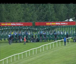 Video preview image for Gowran Park 17:10 - Gowran Park Fillies Claiming
