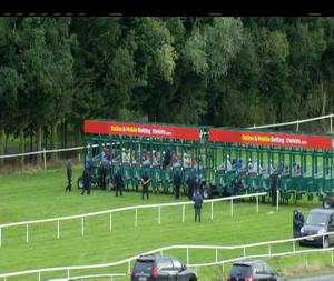 Video preview image for Gowran Park 17:25 - Live Music After Racing Maiden