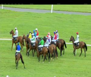 Video preview image for Kilbeggan 16:30 - Summer Party Pack Discount Group Booking Opportunity Maiden Hurdle