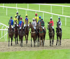Video preview image for Kilbeggan 17:05 - Pat Doyle Memorial Maiden Hurdle