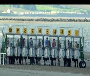 Video preview image for Laytown 18:15 - @melbourne10racing Handicap