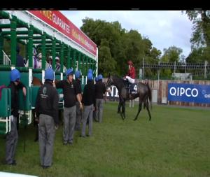 Video preview image for Leopardstown 18:35 - QIPCO Irish Champion Stakes (Group 1)