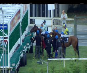 Video preview image for Leopardstown 19:10 - Irish Stallion Farms European Breeders Fund 'Sovereign Path' (Premier Handicap)