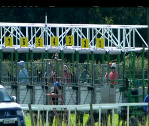 Video preview image for Listowel 14:05 - Irish Stallion Farms European Breeders Fund Median Auction Maiden