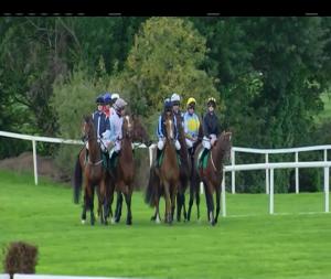 Video preview image for Listowel 14:10 - Kerry Group 3-y-o Hurdle 