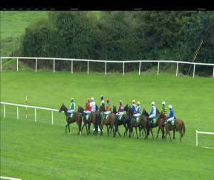 Video preview image for Listowel 14:35 - Jet O'Carroll Memorial Irish European Breeders Fund Mares Maiden Hurdle 