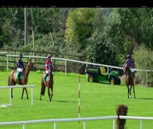 Video preview image for Listowel 14:40 - Kerrymaid Hurdle