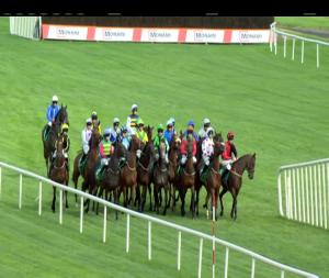 Video preview image for Listowel 15:45 - Low Low Irish European Breeders Fund Mares Handicap Hurdle