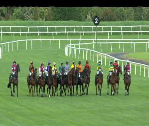 Video preview image for Listowel 16:50 - Kerry Group Handicap Chase
