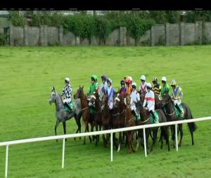 Video preview image for Listowel 16:50 - Paud, Sarah & Mary Fitzmaurice Memorial Handicap Hurdle