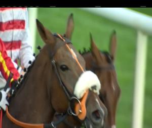 Video preview image for Listowel 16:55 - Ballygarry House Hotel Novice Hurdle